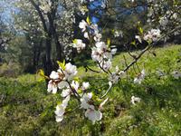 Wanderreise Zypern März, 2019