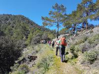 Wanderreise Zypern März, 2019