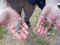 Wanderreise Zypern März, 2019