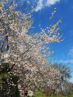 Wanderreise Zypern März, 2019