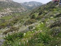 Wanderreise Zypern März, 2019