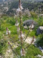 Wanderreise Zypern März, 2019