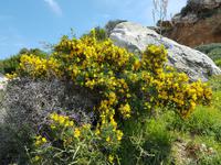 Wanderreise Zypern März, 2019