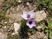 Wanderreise Zypern März, 2019