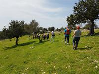 Wanderreise Zypern März, 2019