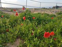 Wanderreise Zypern März, 2019