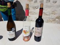 Wanderreise Zypern März, 2019