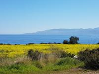 Wanderreise Zypern März, 2019