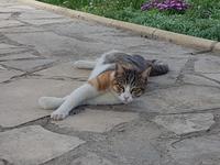 Wanderreise Zypern März, 2019