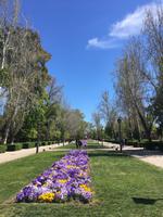 Retiro-Park