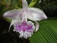 Banos Wasserfall Teufelsbecken