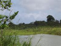 Insel Floreana