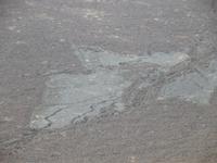 Wanderung zum Vulkan Sierra Negra