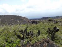Wanderung zum Vulkan Sierra Negra