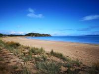 Ausflug zum Cape Reinga - Taipa