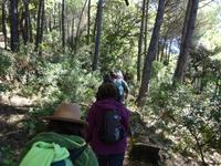 Castano del Robledo (17)