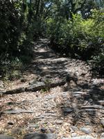 Castano del Robledo (24)