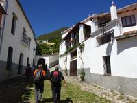 Linares (8)