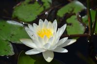 Everglades Miami (9)