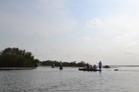 Kanufahrt durch Magroven - La Boquilla  (5)