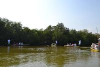 Kanufahrt durch Magroven - La Boquilla  (12)