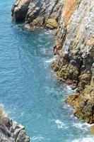 Klippenspringer Acapulco (20)