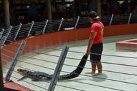 Miccosukee Indian Village Miami (8)