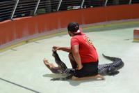 Miccosukee Indian Village Miami (10)