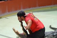 Miccosukee Indian Village Miami (11)