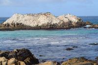 Monterybay (6)