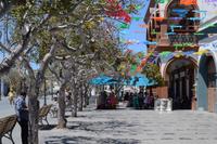 San José del Cabo (1)