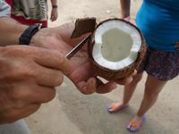 Inselrundfahrt in La Digue, Seychellen (6)