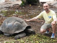 Schildkröten in La Digue, Seychellen (4)