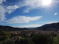 204_Carrara