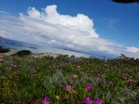 703_La Maddalena Archipel