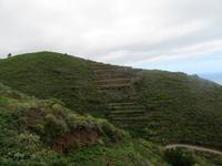 Schlucht von Nogales