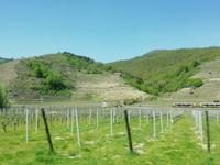 Fahrt durch die Wachau