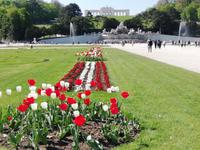 Im Park von Schönbrunn