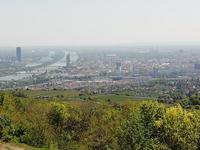 Blick vom Kahlenberg