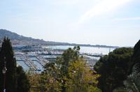 Blick auf Yachthafen von Cannes