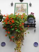 Granada, Spaziergang durch den Albaycín