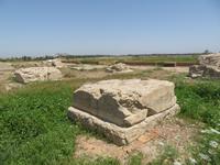 Apadana-Palast - Susa