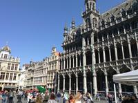 der Brüsseler Grote Markt