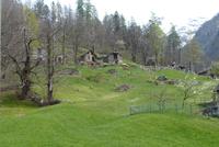 Rusticis die verfallen