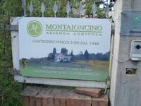 Besuch auf dem Bauernhof