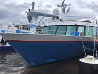 MS Johann Strauß