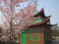 Japanischer Pavilion Schloss Rundale