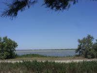 Tag 10 - 4 - Camargue - Hauptort Les-Saintes-Maries-de-la-Mer (1)