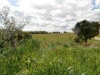 Agriturismo Vecchio Maneggio 