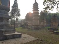 Pagoden Friedhof Dengfeng Shaolin